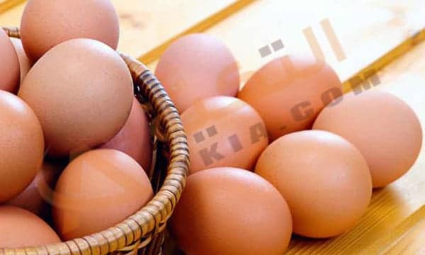 تفسير حلم رؤية البيض في المنام