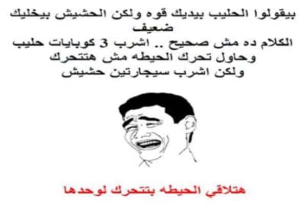 تحشيش