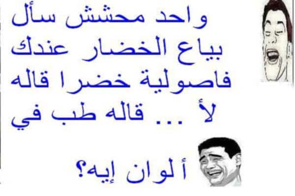محششين مساطيل