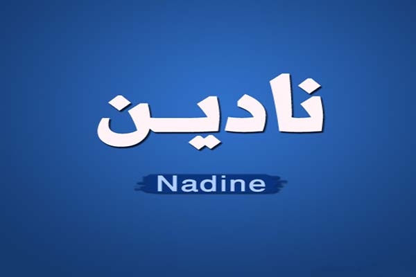 كلمات أغنية مدري شسويله - نادين عامر