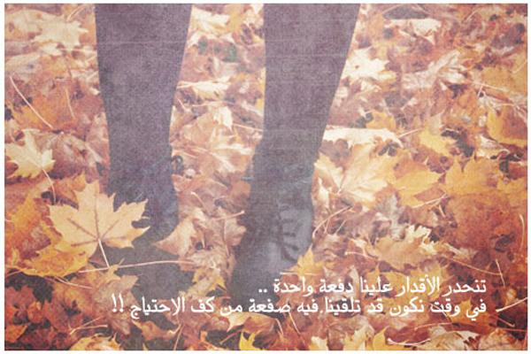 بوستات فيس بوك Bostadt Facebook