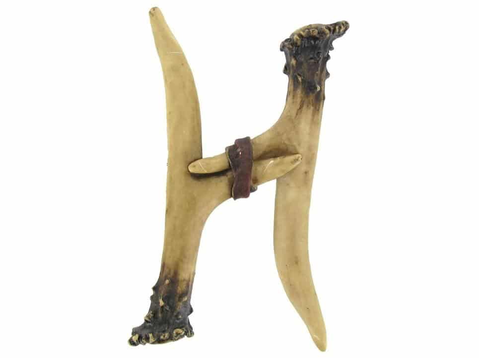 حرف h عظام