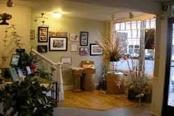 اضافة مختلف من الازهار يجعل غرفتك شيك