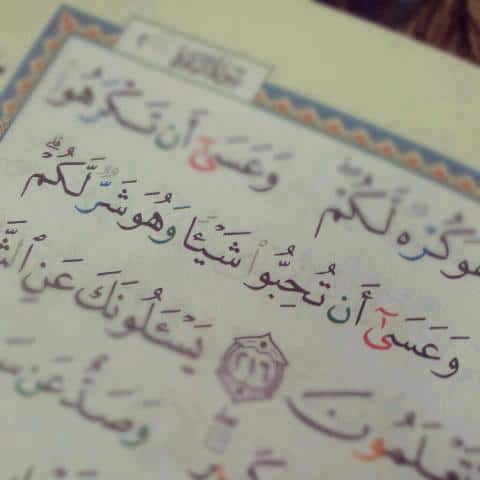 برودكاست اسلامي