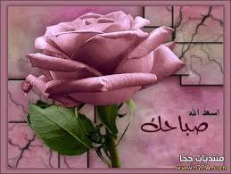 برودكاست عن الصباح Broadcast morning