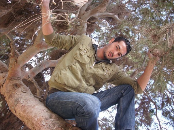 احمد هارون يجلش فوق الشجرة