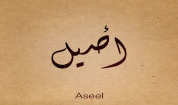 كلمات اغنية روحي - اصيل هميم