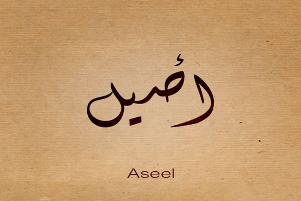 كلمات اغنية روحي - اصيل هميم