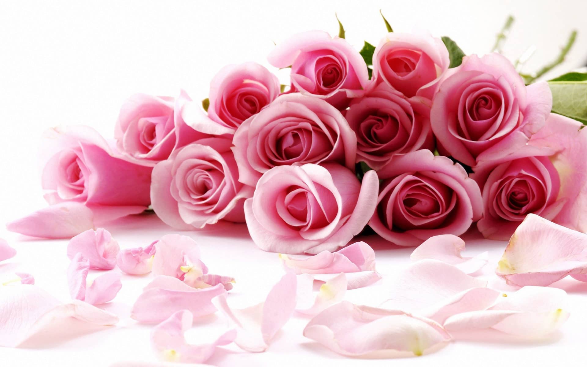 صور ورود