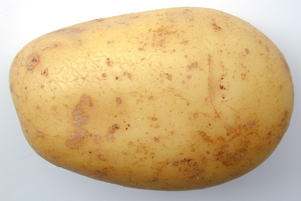 صور البطاطا  Photos potatoes