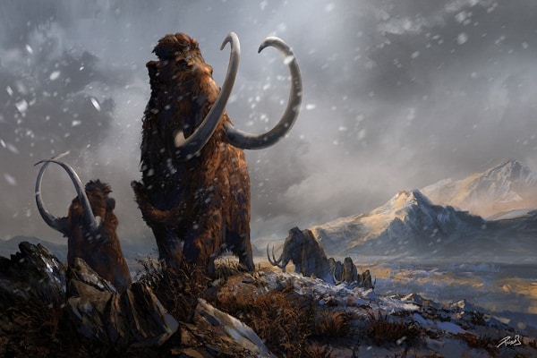 صور الماموث  Photos Mammoth