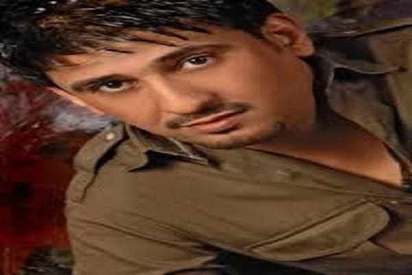 ضياء المنهالي