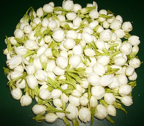 مجموعة من ازهار الفل
