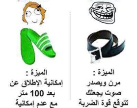 نكت الجزائر