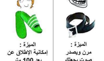 نكت الجزائر