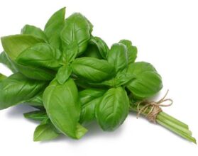 فوائد زيت الحبق