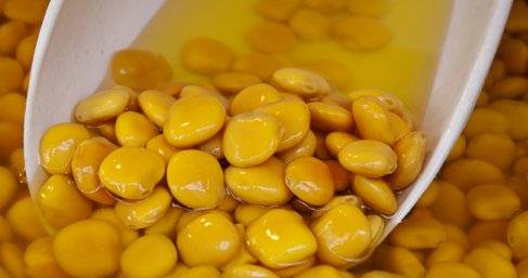 فوائد وأضرار الترمس