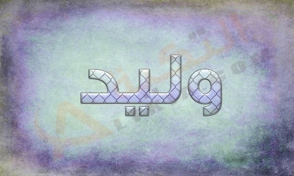 معنى اسم وليد