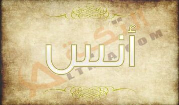 اسم انس