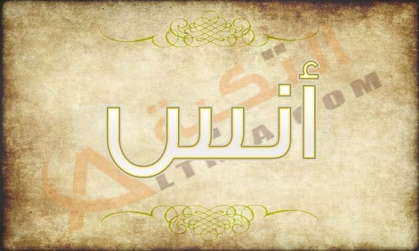 اسم انس