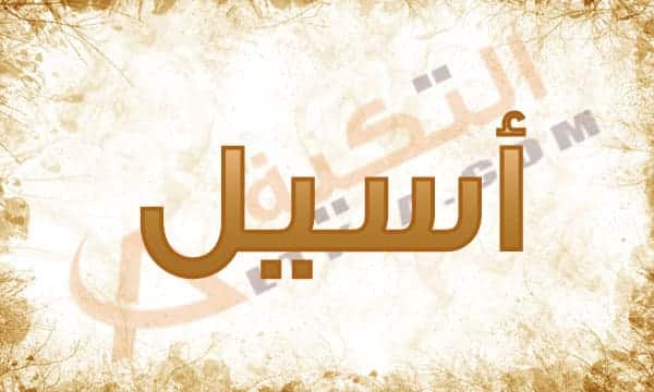 معنى اسم أسيل