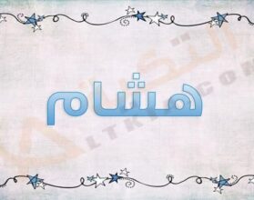معنى اسم هشام