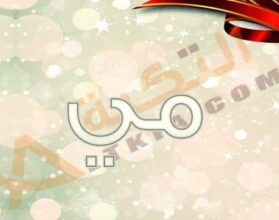 معنى اسم مي