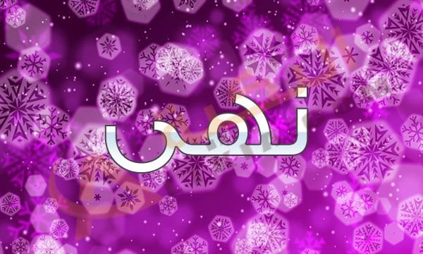 معنى اسم نهى