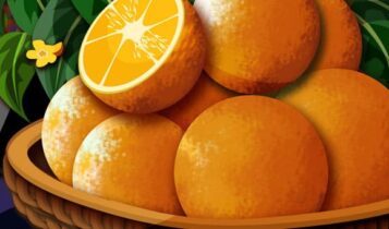 طرق حفظ البرتقال