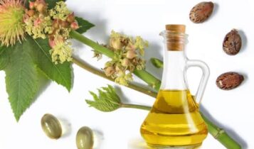 زيت الخروع لإنقاص الوزن