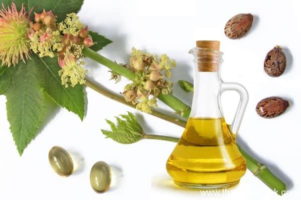 زيت الخروع لإنقاص الوزن