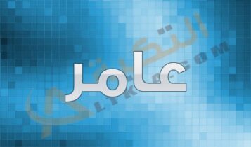 اسم عامر