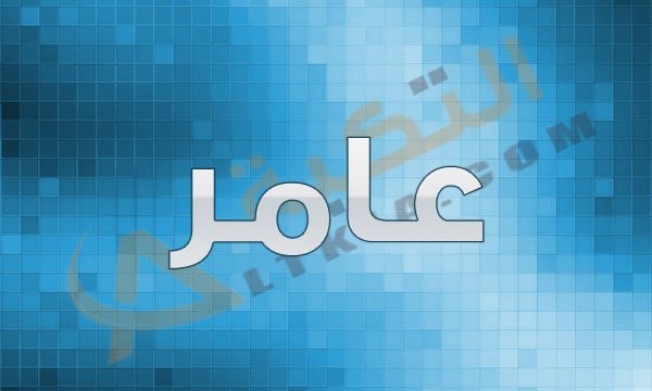 اسم عامر