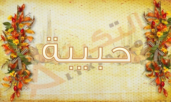 اسم حبيبة