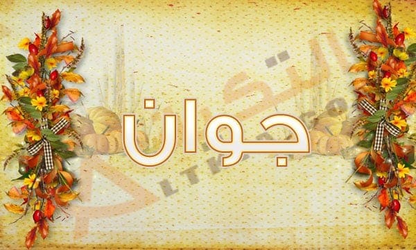 معنى اسم جوان