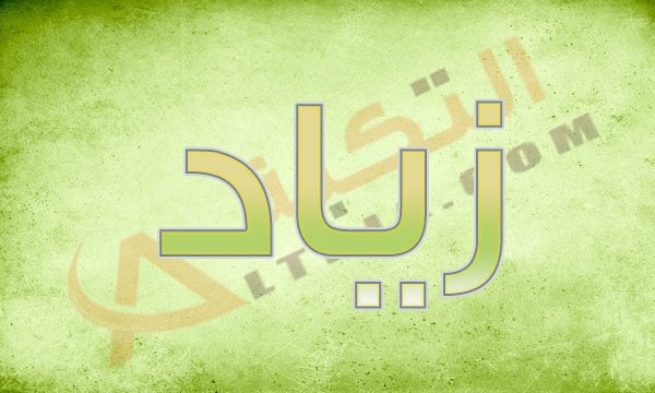 اسم زياد
