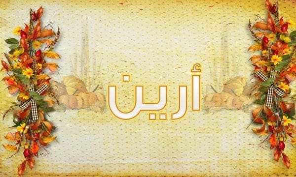 معنى اسم أرين
