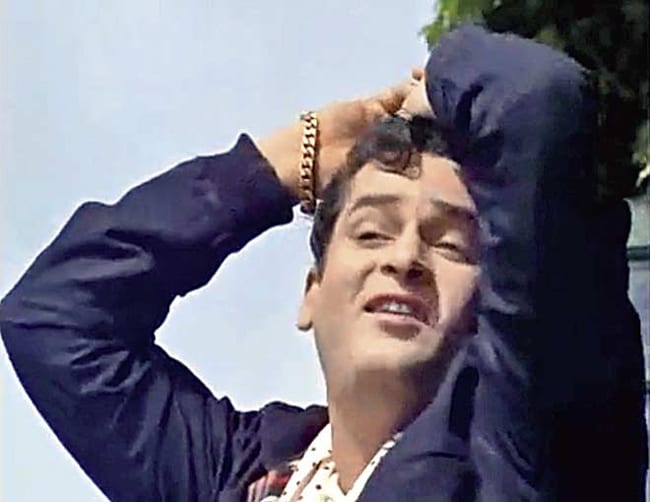 شامي كابور