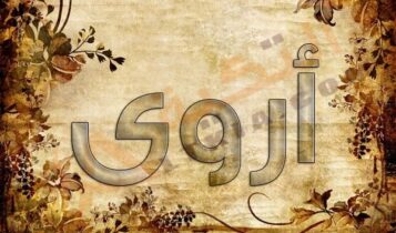 اسم أروى
