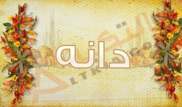 معنى اسم دانة