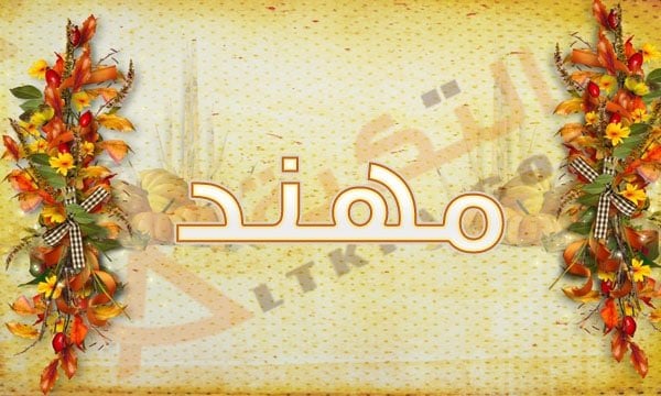 معنى اسم مهند