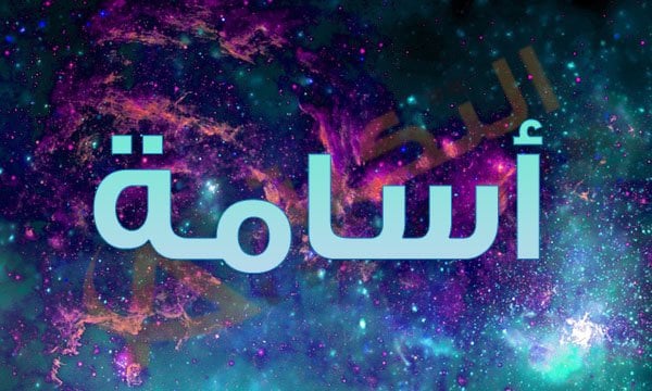 معنى اسم اسامة