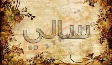 معنى اسم سالي