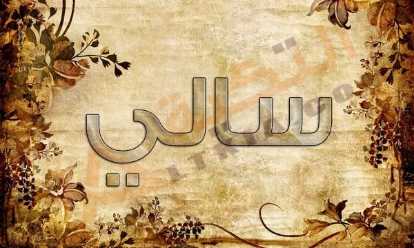 معنى اسم سالي