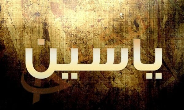 معنى اسم ياسين