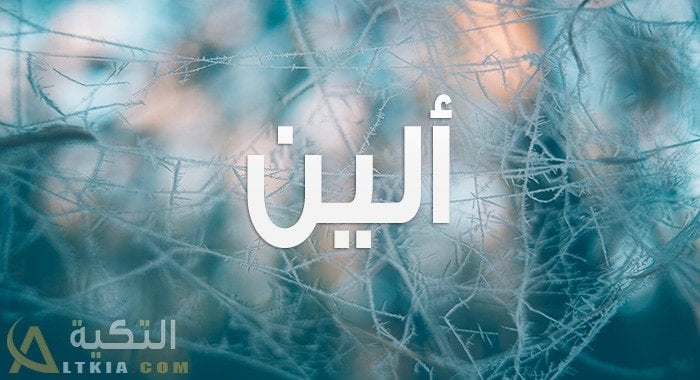 معنى اسم ألين