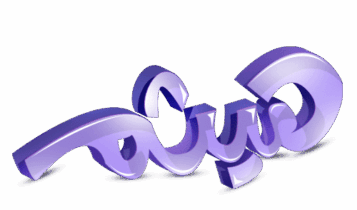 معنى اسم هيثم
