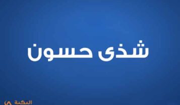 شذى حسون