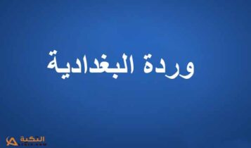 كلمات أغنية فطرة وفقرة - وردة البغدادية