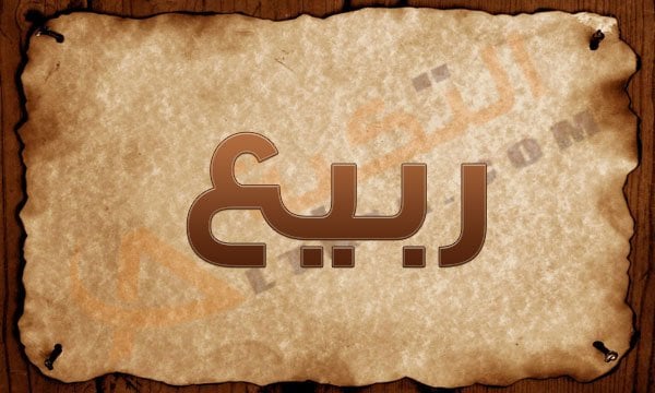 اسم ربيع